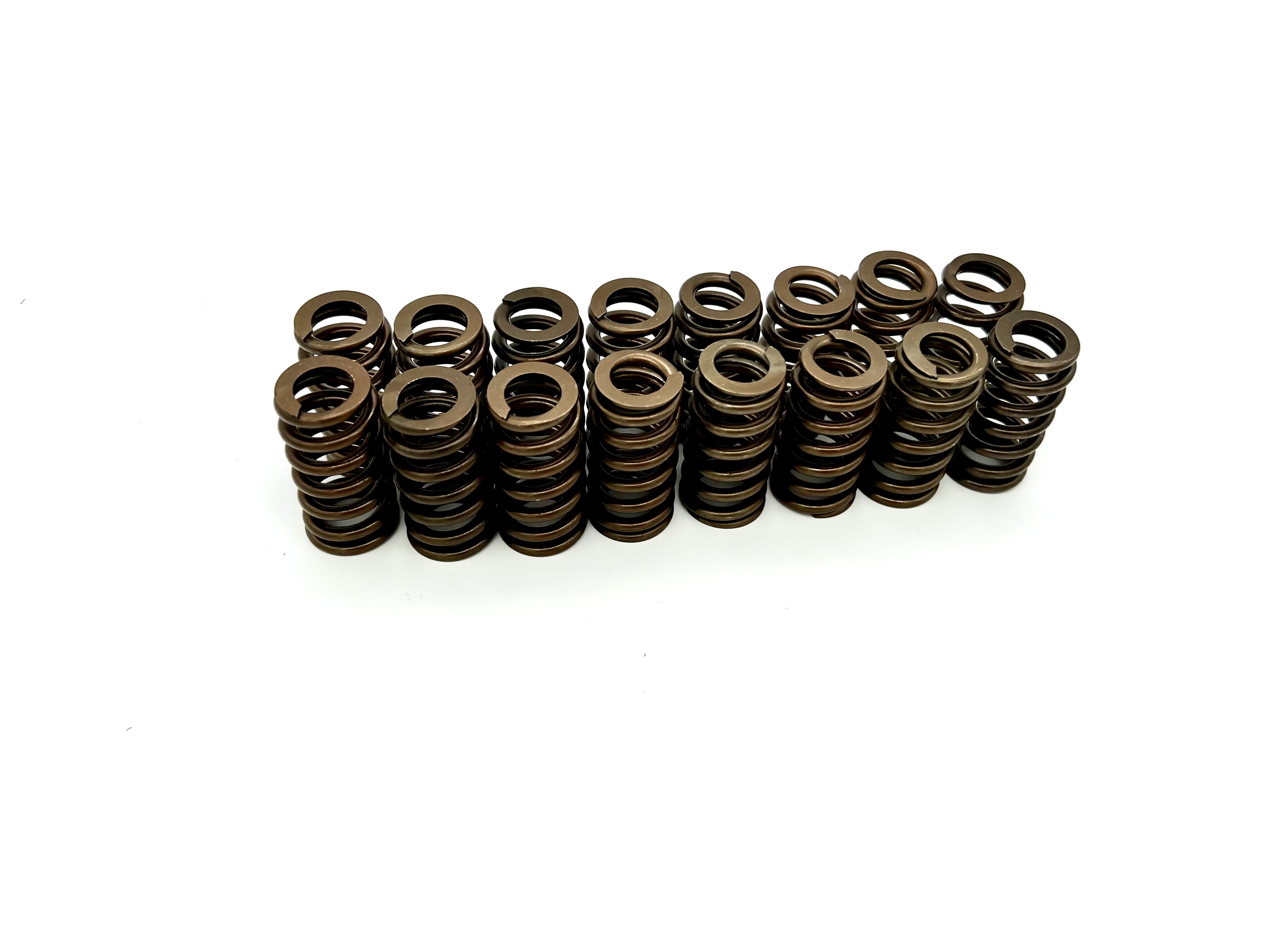 1.8T Sport Ventilfedern Schrick